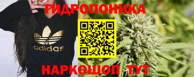 ECSTASY Рузаевка